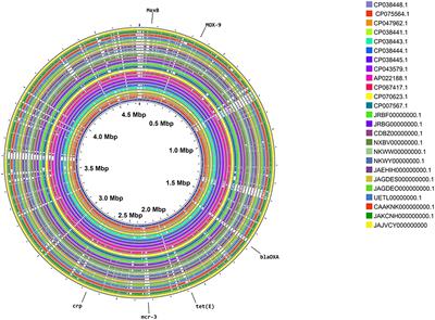 Characterization of virulence and antimicrobial resistance genes of Aeromonas media strain SD/21–15 from marine sediments in comparison with other Aeromonas spp.